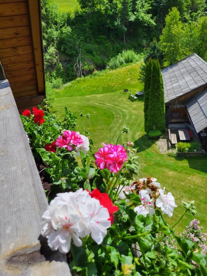 Appartement Hoeller